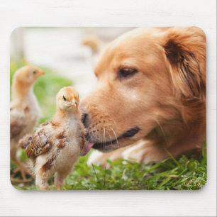 Alfombrilla De Ratón Perro y polluelo