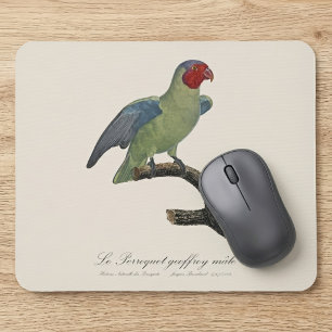 Alfombrilla De Ratón Perroquet geoffroy macho / Loro con mejillas rojas