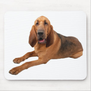 Alfombrilla De Ratón Perros cachorros sangrientos dominan Mousepad