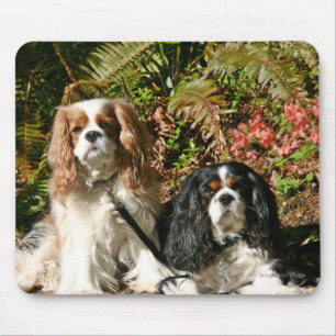 Alfombrilla De Ratón Perros de aguas arrogantes Mousepad