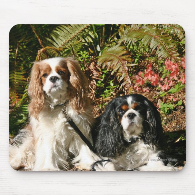 Alfombrilla De Ratón Perros de aguas arrogantes Mousepad (Frente)