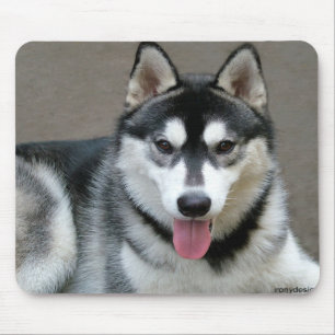 Alfombrilla De Ratón Perros de Malamute de Alaskan