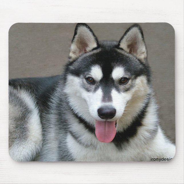 Alfombrilla De Ratón Perros de Malamute de Alaskan (Frente)