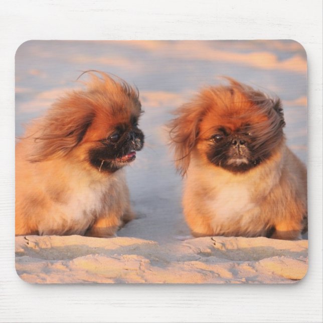 Alfombrilla De Ratón Perros lindos de Pekingese (Frente)