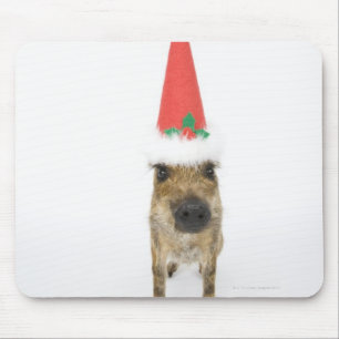 Alfombrilla De Ratón Persiga en gorra del navidad
