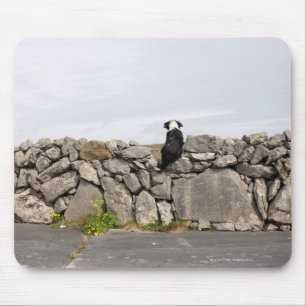 Alfombrilla De Ratón Persiga sentarse en una pared de piedra irlandesa
