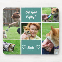 Personalizado 5 Mascota de la familia fotográfica
