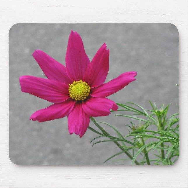 Alfombrilla De Ratón Personalizado de flor rosa mousepad (Frente)