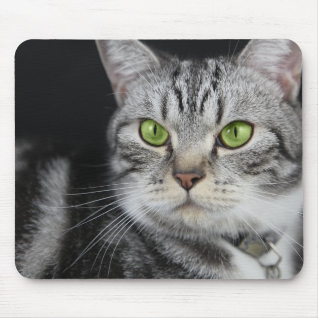 Alfombrilla De Ratón Personalizado de fotos de su gato dulce (Frente)