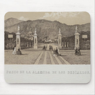 Alfombrilla De Ratón Perú 33