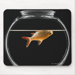 Alfombrilla De Ratón Pesca de oro en el bol 2