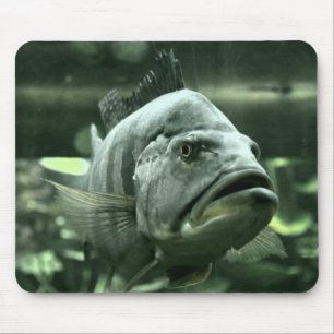 Alfombrilla De Ratón Pescado acuario feo