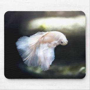 Alfombrilla De Ratón Pescado blanco siamés de combate