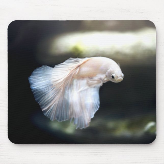 Alfombrilla De Ratón Pescado blanco siamés de combate (Frente)