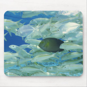 Alfombrilla De Ratón Pescado cirujano amarillo con pez dorado de rayas 