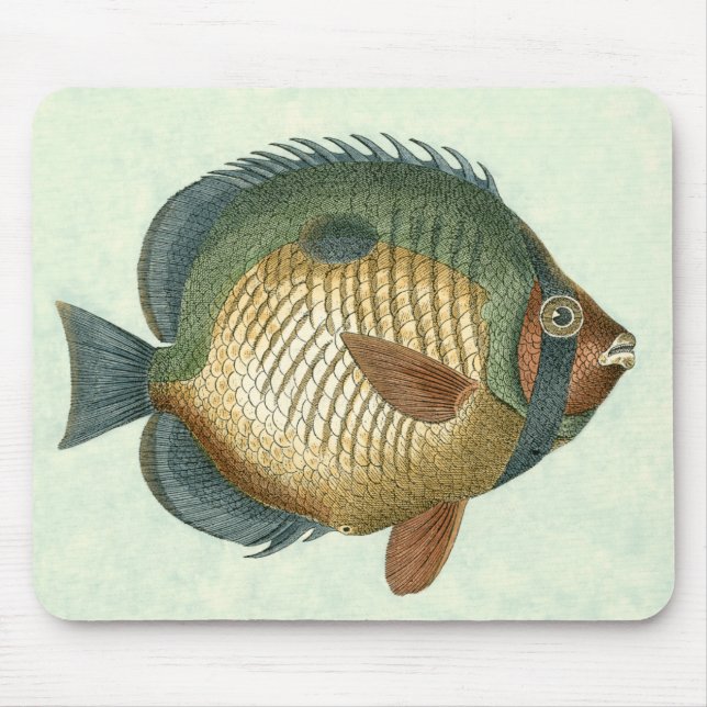 Alfombrilla De Ratón Pescado colorido grande (Frente)