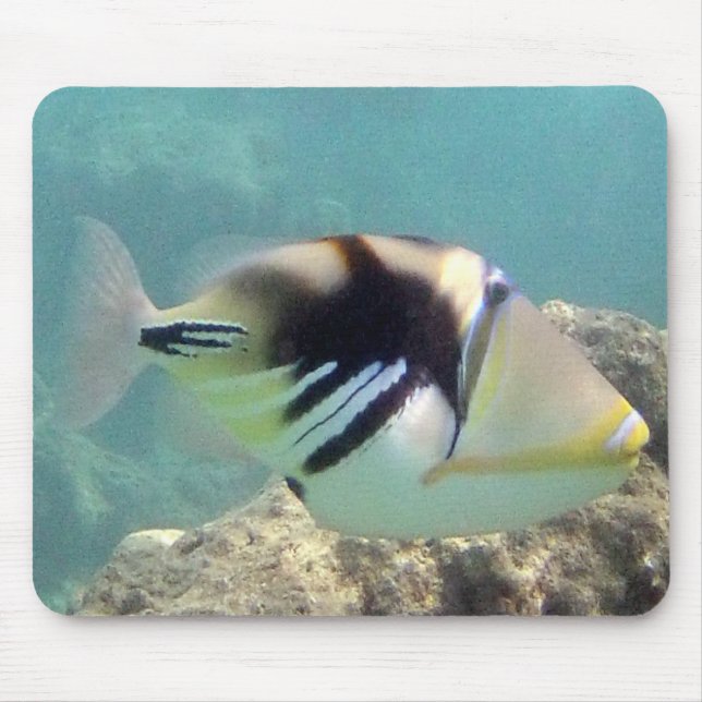 Alfombrilla De Ratón Pescado del Estado de Hawaii - Humuhumunukunukuapu (Frente)
