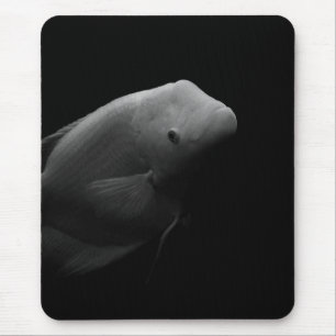 Alfombrilla De Ratón Pescado en el tanque