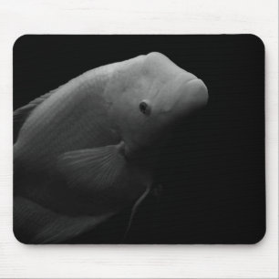 Alfombrilla De Ratón Pescado en tanque - Fotografía de arte blanco y ne