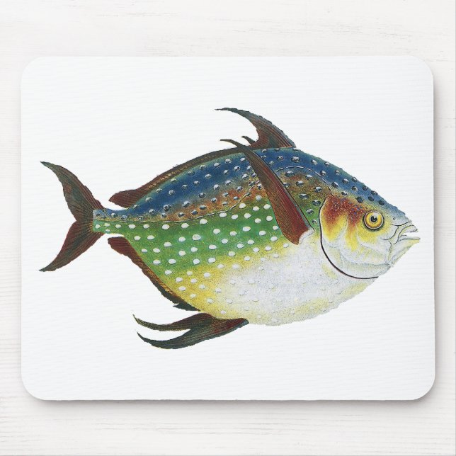 Alfombrilla De Ratón Pescado Opah Tropical, Animal Acuático Marino Vint (Frente)
