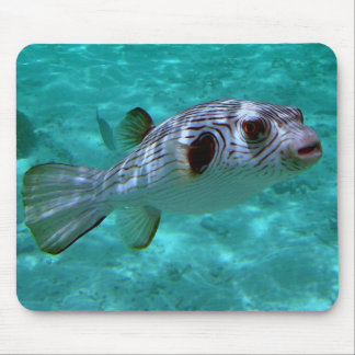 Alfombrilla De Ratón Pescado puffer