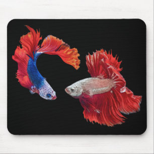 Alfombrilla De Ratón Pescado Siamés de lucha