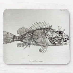 Alfombrilla De Ratón Pescados de escorpión