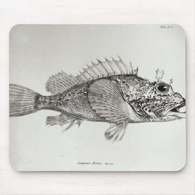 Alfombrilla De Ratón Pescados de escorpión (Frente)