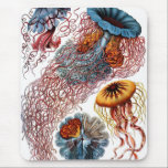 Alfombrilla De Ratón Pescados de jalea de Ernst Haeckel<br><div class="desc">Características de este producto el ilustracion de color de los pescados de jalea del "der Natur de Kunstformen" de Ernst Haeckel (1904). Ernst Haeckel era biólogo, naturalista, filósofo, médico, profesor y artista alemanes. Él descubrió, describió y nombró millares de nuevas especies. Su arte ha durado muchos muchos años e incluye...</div>