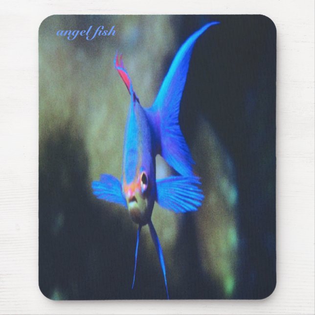Alfombrilla De Ratón pescados del Brillante-azul-ángel, mousepad (Frente)