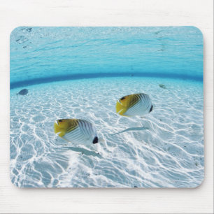 Alfombrilla De Ratón Pescados en el mar 2