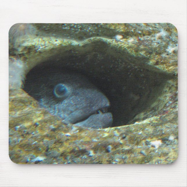 Alfombrilla De Ratón Pescados enfadados (Frente)