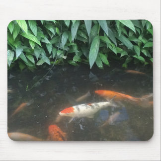 Alfombrilla De Ratón Pescados frescos de Koi de la naturaleza en cojín