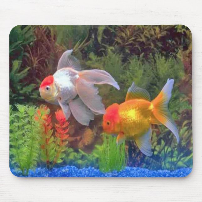 Alfombrilla De Ratón Pescados Mousepad (Frente)