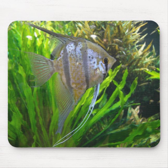 Alfombrilla De Ratón Pescados Mousepad del ángel (Frente)
