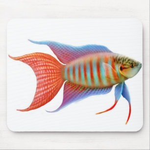 Alfombrilla De Ratón Pescados Mousepad del Osphromemus gorami del