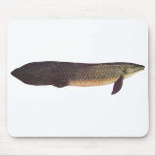 Alfombrilla De Ratón Pescados - Qld. Lungfish - forsteri del