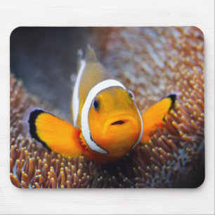 Alfombrilla De Ratón Pescados tropicales del filón - Clownfish