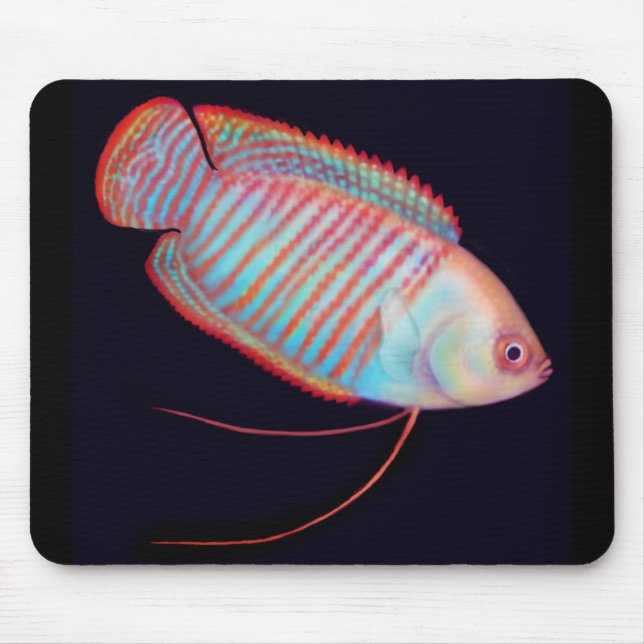 Alfombrilla De Ratón Pescados tropicales Mousepad del Osphromemus (Frente)