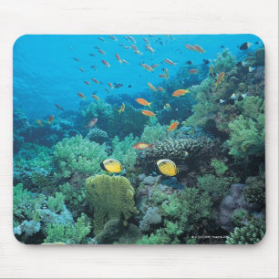 Alfombrilla De Ratón Pescados tropicales que nadan sobre el filón