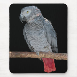 Alfombrilla De Ratón Pesky Parrot Mousemat