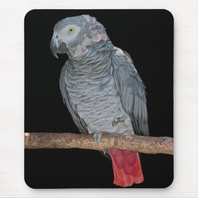 Alfombrilla De Ratón Pesky Parrot Mousemat (Frente)