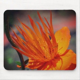Alfombrilla De Ratón Pétalos de flor amarillo naranja