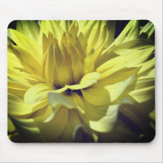 Alfombrilla De Ratón Pétalos de flores de Dahlia amarillas cerca