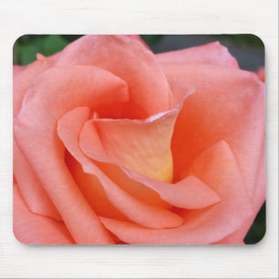 Alfombrilla De Ratón pétalos de rosa rosa rosa rosado