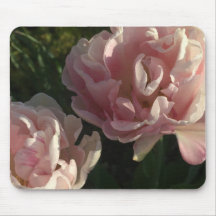 Pétalos de rubefacción delgados