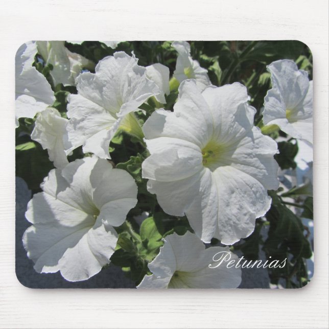 Alfombrilla De Ratón Petunias blancas (Frente)