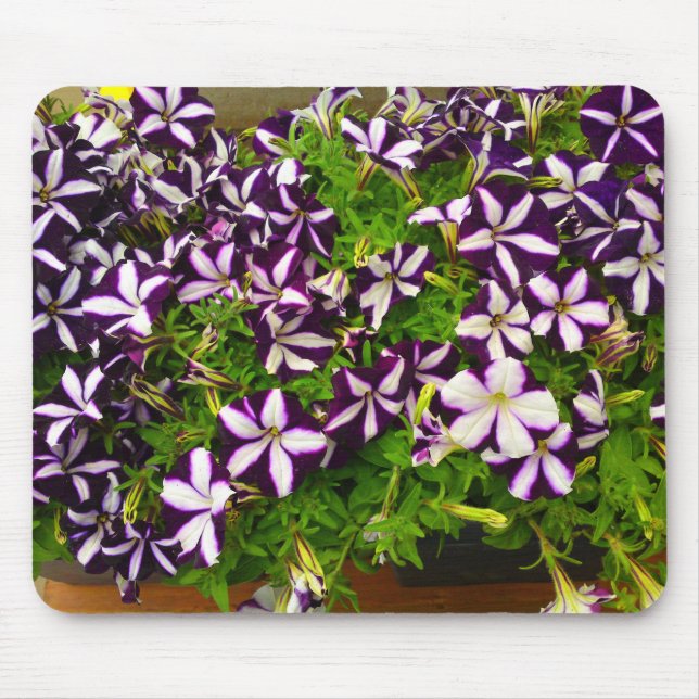 Alfombrilla De Ratón Petunias con rayas moradas (Frente)