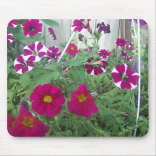 Alfombrilla De Ratón Petunias rosadas