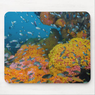 Alfombrilla De Ratón Pez Entre Arrecife de Coral